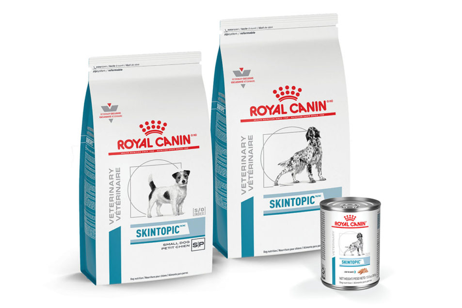 Royal Canin debuts new diet to tackle skin disease in dogs Pet Food